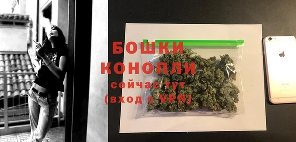 дурь Нягань