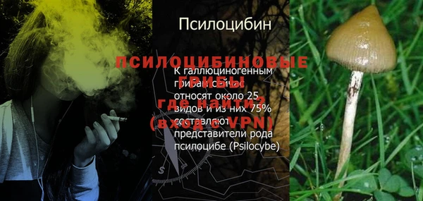 дурь Нягань